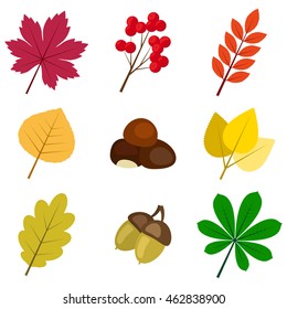 vector collection of autumn colored leaves on white background