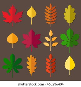 vector collection of autumn colored leaves on white background