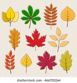 vector collection of autumn colored leaves