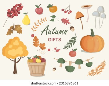 Vector collection with autumn elements. Fall clipart set with leaves, pumpkin, fruits and mushrooms. Autumn gifts.