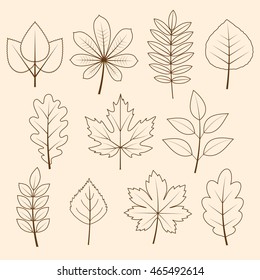 vector collection of autumn leaves 
