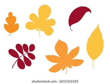 Vector collection of autumn leaves in warm colors. Flat seasonal elements perfect for nature-themed crafts, fall stationery, educational resources, and cozy designs.