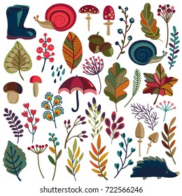Vector collection of autumn nature elements, isolated on white background. Colorful fall set with beautiful bright leaves, flowers, branches, berries, mushrooms, umbrella.