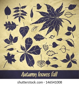 vector collection beautiful brushstroke autumn leaves on paper background