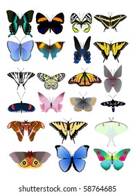 Vector colección de hermosas mariposas