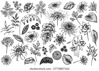 Vector collection of beautiful hand drawn black and white unusual blooming flowers isolated on white background.