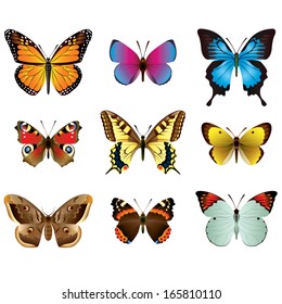 Vector collection of beautiful photo realistic butterflies