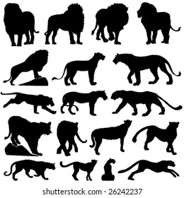 vector collection of big cat silhouettes