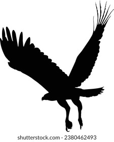 vector collection of bird silhouette