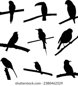 vector collection of bird silhouette
