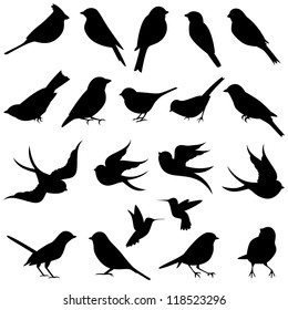 Vector Collection Bird Silhouettes