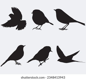 Colección vectorial de siluetas de aves