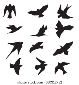 Vector Collection of Bird Silhouettes