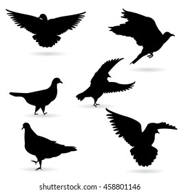 Vector Collection of Bird Silhouettes
