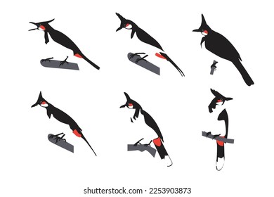 Vector collection of bird silhouettes with crest on head