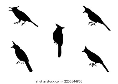 Vector collection of bird silhouettes with crest on head