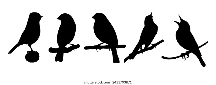 vector collection of bird silhouettes sing on a tree trunk
