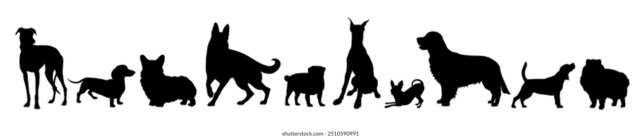 Vector collection of black dog breeds silhouettes isolated on white background includes labrador, corgi, pug, golden retriever, pomeranian spitz, chihuahua etc.