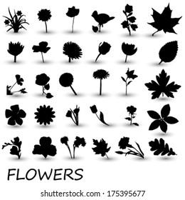 vector collection of black flowers ans leaves (silhouettes) on white background