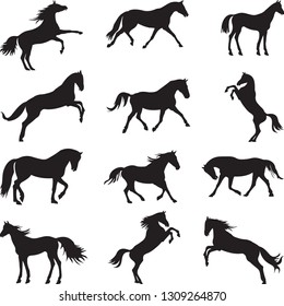 Vector collection of black horses silhouettes. Isolated on white background.