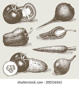 Vector collection of black  ink hand drawn vegetables. Vintage healthy food illustration. Decorative  engraved  vegetables isolated on white,