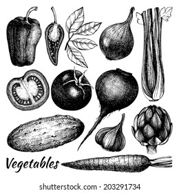 1,820 Beetroot Vector Black White Images, Stock Photos & Vectors ...