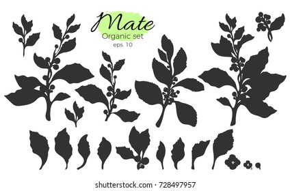 Vector collection of black silhouette branches. Shape set of leaves and flowers. Art of nature on white background. Botanical drawing. Organic food Eps.10