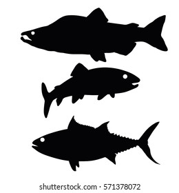 Vector collection of black silhouettes of fish. Pink salmon. Trout. Tuna. Sea and river inhabitants. Set. Food.