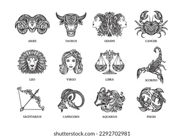 Colección vectorial de ilustraciones de signos zodiacos dibujados a mano en blanco y negro