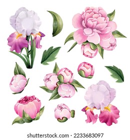 Vector collection of botanical flowers and leaves.