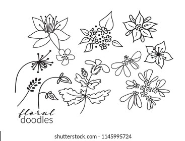 vector collection of botanical hand drawn doodles. meadow plants and flowers elements. pencil ink sketch of flowers and leaves. set of decorative elements 