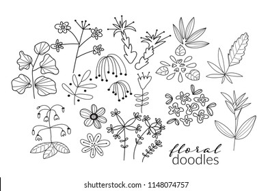 vector collection of botanical hand drawn doodles. meadow plants and flowers elements. pencil ink sketch of flowers and leaves. set of decorative elements 