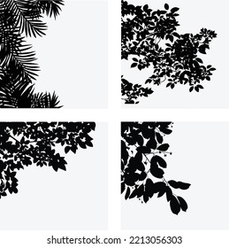 Colección vectorial de hojas botánicas para composiciones artísticas