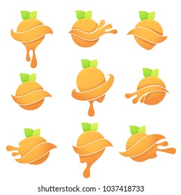 vector collection of bright citrus symbols with green leaves and juice splashes for youf fresh orange juice sticker, emblem and logo