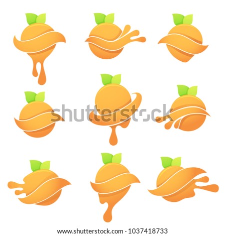 vector collection of bright citrus symbols with green leaves and juice splashes for youf fresh orange juice sticker, emblem and logo