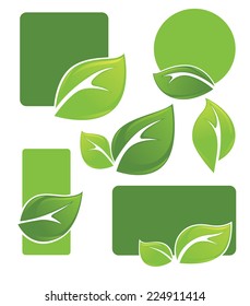 vector collection of bright green leaf frames and stickers
