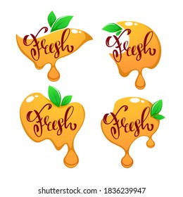 vector collection of bright and shine  stickers, emblems and banners for  orange fresh juice