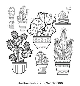 Vector collection of cacti. Vector illustration of a cactus isolated on a white background. 