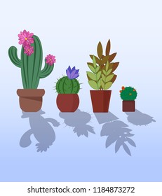 Vector collection of cactus in flat style. Green plant, flower and nature, floral and exotic, wild botany tropical illustration