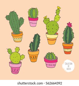 Vector collection of cactus. Hand drawn cartoon Illustration