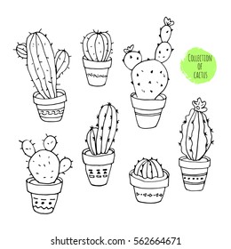 Vector collection of cactus. Hand drawn cartoon Illustration