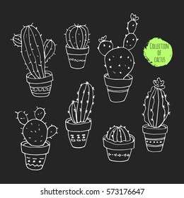 Vector collection of cactus. Hand drawn cartoon Illustration.