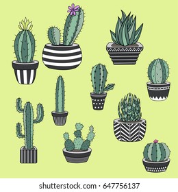 Vector collection of cactus. Hand drawn cartoon Illustration