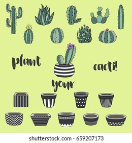Vector collection of cactus. Hand drawn cartoon Illustration