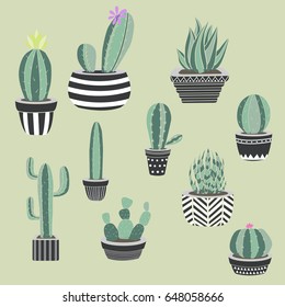 Vector collection of cactus and succulents. Hand drawn cartoon Illustration