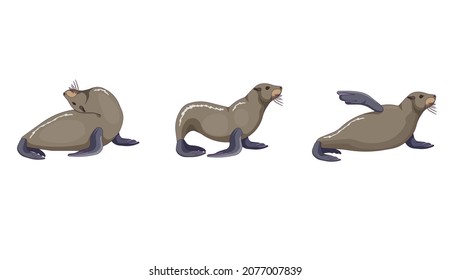 1,198 Posing sea lion Images, Stock Photos & Vectors | Shutterstock