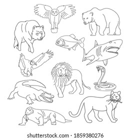 Vector collection of carnivorous animals hand drawn on white background