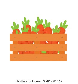 vector collection of carrots in a wooden basket from agricultural products	