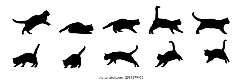 Vector collection of cat silhouettes in different poses, on a white background. Wild animal or cat silhouette, made with doodle drawing.