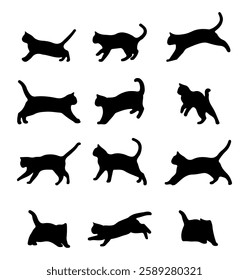 Vector collection of cat silhouettes in various poses isolated on a white background. Cat silhouette designed with doodle drawing.